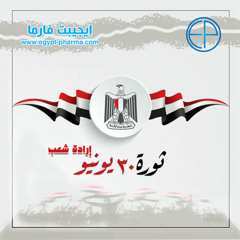 ثورة 30 يونيو 2025