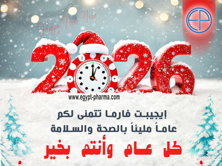رأس السنة الجديدة 2026